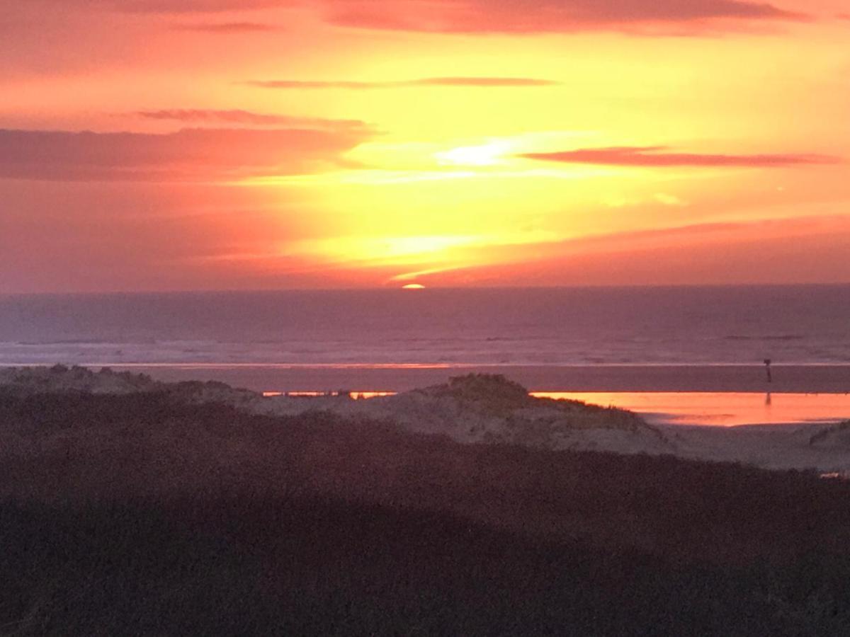 Formentera In De Duinen Aan Zee IJmuiden