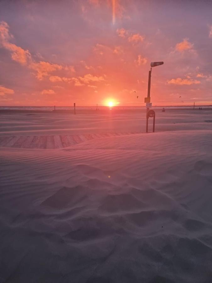 Chalet Formentera In De Duinen Aan Zee *